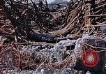 Image of wrecked steel frame Nagasaki Japan, 1946, second 26 stock footage video 65675037806