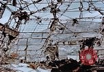 Image of wrecked steel frame Nagasaki Japan, 1946, second 60 stock footage video 65675037807