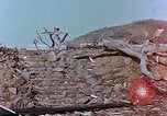 Immagine di La Bomba atomica danno Nagasaki Giappone, 1946, secondo 6 filmato di repertorio 65675037811