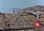 Immagine di La Bomba atomica danno Nagasaki Giappone, 1946, secondo 7 filmato di repertorio 65675037811