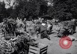 Standbild Gemüse kaufen Stuttgart Deutschland, 1947, aus Sekunde 20 historischem Filmmaterial Videoclip 65675037832