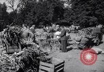 Standbild Gemüse kaufen Stuttgart Deutschland, 1947, aus Sekunde 22 historischem Filmmaterial Videoclip 65675037832