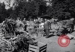Standbild Gemüse kaufen Stuttgart Deutschland, 1947, aus Sekunde 23 historischem Filmmaterial Videoclip 65675037832
