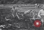 Standbild Japanische Bauer Japan, 1948, aus Sekunde 11 historischem Filmmaterial Videoclip 65675037840