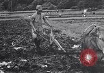 Standbild Japanische Bauer Japan, 1948, aus Sekunde 15 historischem Filmmaterial Videoclip 65675037840