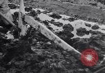 Standbild Japanische Bauer Japan, 1948, aus Sekunde 17 historischem Filmmaterial Videoclip 65675037840