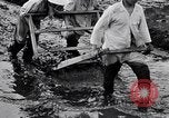 Standbild Japanische Bauer Japan, 1948, aus Sekunde 19 historischem Filmmaterial Videoclip 65675037840