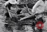 Standbild Japanische Bauer Japan, 1948, aus Sekunde 20 historischem Filmmaterial Videoclip 65675037840