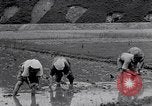 Standbild Japanische Bauer Japan, 1948, aus Sekunde 25 historischem Filmmaterial Videoclip 65675037840