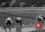 Standbild Japanische Bauer Japan, 1948, aus Sekunde 26 historischem Filmmaterial Videoclip 65675037840