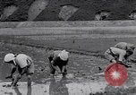 Standbild Japanische Bauer Japan, 1948, aus Sekunde 27 historischem Filmmaterial Videoclip 65675037840