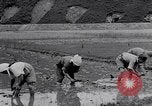 Standbild Japanische Bauer Japan, 1948, aus Sekunde 28 historischem Filmmaterial Videoclip 65675037840
