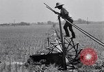 Standbild Japanische Bauer Japan, 1948, aus Sekunde 34 historischem Filmmaterial Videoclip 65675037840
