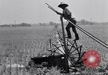 Standbild Japanische Bauer Japan, 1948, aus Sekunde 35 historischem Filmmaterial Videoclip 65675037840