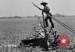 Standbild Japanische Bauer Japan, 1948, aus Sekunde 36 historischem Filmmaterial Videoclip 65675037840