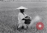 Standbild Japanische Bauer Japan, 1948, aus Sekunde 40 historischem Filmmaterial Videoclip 65675037840