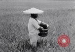 Standbild Japanische Bauer Japan, 1948, aus Sekunde 41 historischem Filmmaterial Videoclip 65675037840