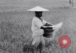Standbild Japanische Bauer Japan, 1948, aus Sekunde 42 historischem Filmmaterial Videoclip 65675037840