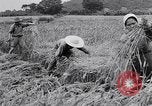 Standbild Japanische Bauer Japan, 1948, aus Sekunde 44 historischem Filmmaterial Videoclip 65675037840