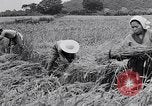 Standbild Japanische Bauer Japan, 1948, aus Sekunde 46 historischem Filmmaterial Videoclip 65675037840