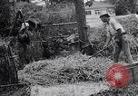 Standbild Japanische Bauer Japan, 1948, aus Sekunde 48 historischem Filmmaterial Videoclip 65675037840