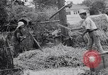 Standbild Japanische Bauer Japan, 1948, aus Sekunde 49 historischem Filmmaterial Videoclip 65675037840