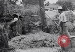 Standbild Japanische Bauer Japan, 1948, aus Sekunde 50 historischem Filmmaterial Videoclip 65675037840