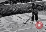 Standbild Japanische Bauer Japan, 1948, aus Sekunde 61 historischem Filmmaterial Videoclip 65675037840