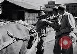 Immagine di Soldati americani Giappone, 1948, secondo 3 filmato di repertorio 65675037841