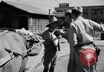 Immagine di Soldati americani Giappone, 1948, secondo 5 filmato di repertorio 65675037841