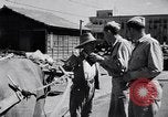 Immagine di Soldati americani Giappone, 1948, secondo 7 filmato di repertorio 65675037841