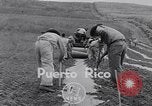 Standbild Ananas Plantage Puerto Rico, 1948, aus Sekunde 3 historischem Filmmaterial Videoclip 65675037844