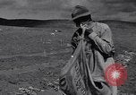 Standbild Ananas Plantage Puerto Rico, 1948, aus Sekunde 10 historischem Filmmaterial Videoclip 65675037844