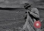 Standbild Ananas Plantage Puerto Rico, 1948, aus Sekunde 11 historischem Filmmaterial Videoclip 65675037844