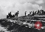 Standbild Ananas Plantage Puerto Rico, 1948, aus Sekunde 20 historischem Filmmaterial Videoclip 65675037844