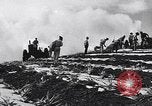 Standbild Ananas Plantage Puerto Rico, 1948, aus Sekunde 21 historischem Filmmaterial Videoclip 65675037844