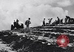 Standbild Ananas Plantage Puerto Rico, 1948, aus Sekunde 23 historischem Filmmaterial Videoclip 65675037844