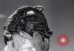 Standbild Ananas Plantage Puerto Rico, 1948, aus Sekunde 32 historischem Filmmaterial Videoclip 65675037844