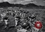 Standbild Ananas Plantage Puerto Rico, 1948, aus Sekunde 55 historischem Filmmaterial Videoclip 65675037844