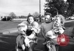 Immagine di Le alluvioni Vanport Oregon USA, 1948, secondo 9 filmato di repertorio 65675037845