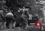 Immagine di Le alluvioni Vanport Oregon USA, 1948, secondo 30 filmato di repertorio 65675037845
