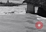 Immagine di Le alluvioni Vanport Oregon USA, 1948, secondo 51 filmato di repertorio 65675037845