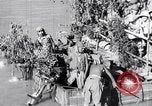 Image of Japanese military operations in China China, 1942, second 56 stock footage video 65675037850