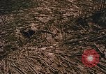 Standbild Mount Saint Helens Washington State United States USA, 1986, aus Sekunde 4 historischem Filmmaterial Videoclip 65675037864