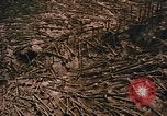 Standbild Mount Saint Helens Washington State United States USA, 1986, aus Sekunde 5 historischem Filmmaterial Videoclip 65675037864