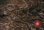 Standbild Mount Saint Helens Washington State United States USA, 1986, aus Sekunde 6 historischem Filmmaterial Videoclip 65675037864