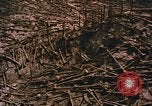 Standbild Mount Saint Helens Washington State United States USA, 1986, aus Sekunde 7 historischem Filmmaterial Videoclip 65675037864