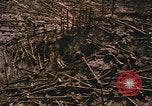 Standbild Mount Saint Helens Washington State United States USA, 1986, aus Sekunde 8 historischem Filmmaterial Videoclip 65675037864