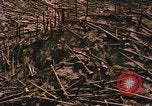 Standbild Mount Saint Helens Washington State United States USA, 1986, aus Sekunde 9 historischem Filmmaterial Videoclip 65675037864