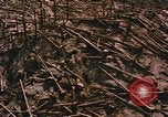 Standbild Mount Saint Helens Washington State United States USA, 1986, aus Sekunde 10 historischem Filmmaterial Videoclip 65675037864